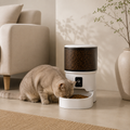 Distributeur automatique connecté pour chat avec caméra HD et application mobile